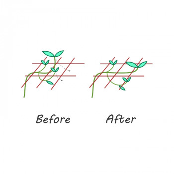 Опорна растителна мрежа Gronest 120x120cm (Ø15-18mm)