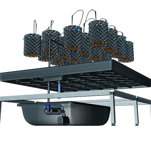 growSYSTEM 1.2 – 118 x 118 x 30 cm