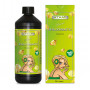 ATAMI ATA NRG Bio Bloombastic 1L