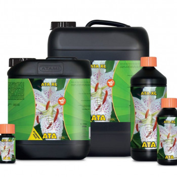 ATAMI ATA XL 10L