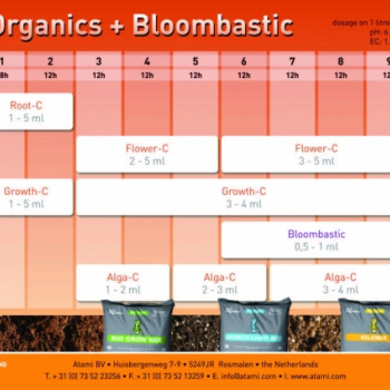 ATAMI ATA NRG Growth-C 1L