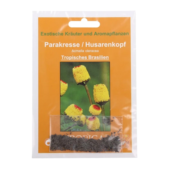 Семена Акмела (acmella oleracea)