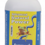 Advanced Hydroponics Enzymes+ 1L