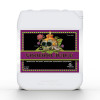 Advanced Nutrients Voodoo Juice 5L