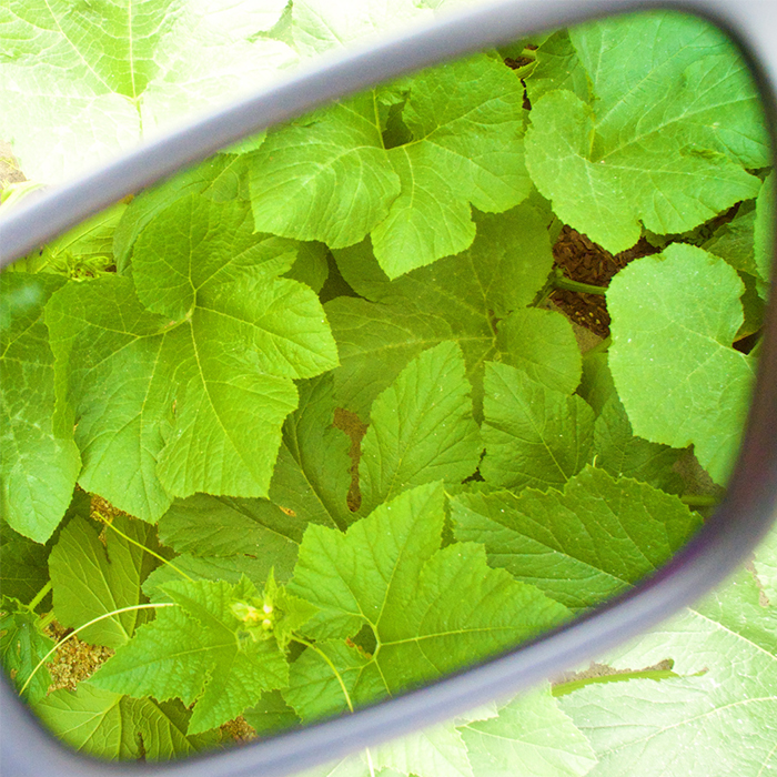 Защитни Очила Clip-On Aviator FX