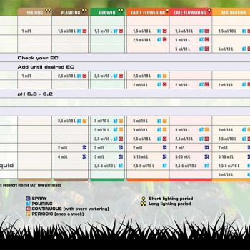 Aptus CaMg-Boost 500ml