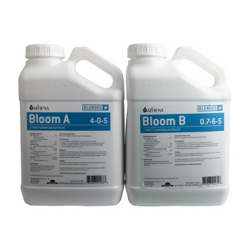 Athena Blended Bloom A&B 3.78L
