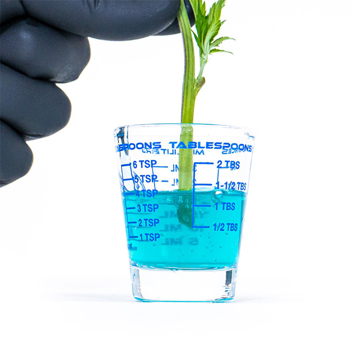 Вкоренител Athena Cuts Rooting Gel 200ml