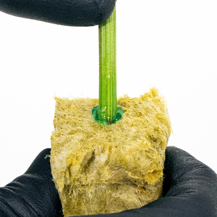 Вкоренител Athena Cuts Rooting Gel 200ml