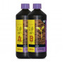 B'cuzz Soil Nutrition A+B 1L
