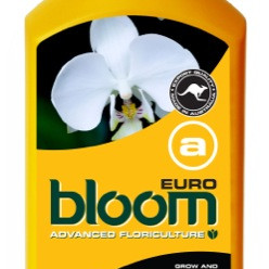 BLOOM Euro A+B 2.5L Комплект