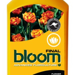 BLOOM Final 1L