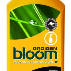BLOOM Groigen 300ml
