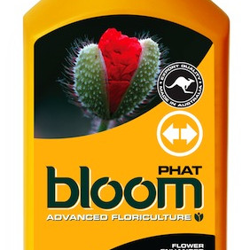 BLOOM Phat 300ml