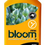 BLOOM Pre 1L