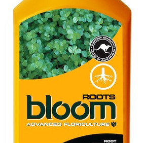 BLOOM Roots 1L
