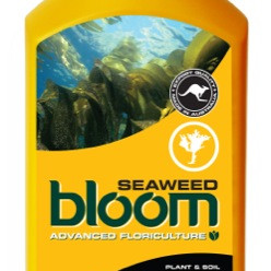 BLOOM Seaweed 300ml