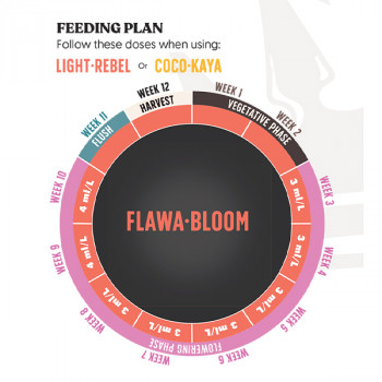 Juju Royal FLOWA-BLOOM 1L