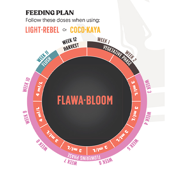 Juju Royal FLOWA-BLOOM 250ml
