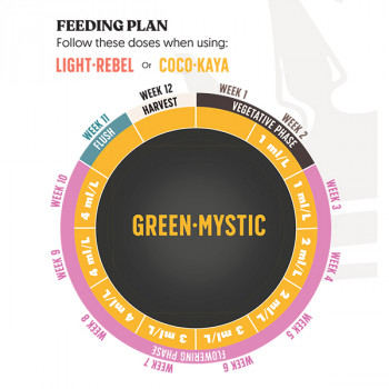 Juju Royal GREEN-MYSTIC 1L