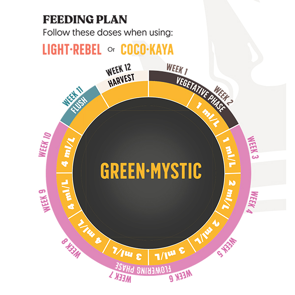 Juju Royal GREEN-MYSTIC 250ml