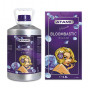 Bloombastic 5500ml 