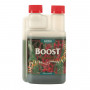CANNA Boost Accelerator 250ml