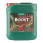 CANNA Boost Accelerator 5L