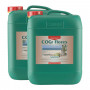 CANNA COGr Flores 10L