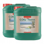 CANNA COGr Flores 5L