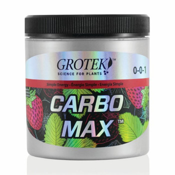 CARBO-MAX 100g