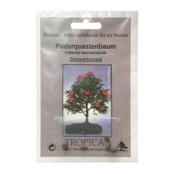 Семена Калиандра, розово пухчеста пудра (Calliandra haematocephala)