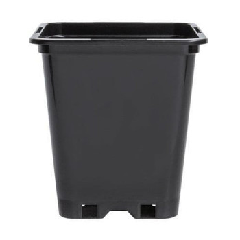Black Square Pot 1L