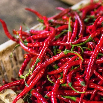 Chilli Hills Семена За Люти Чушки Тай Драгън