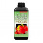 Chilli Pepper Focus 300ml