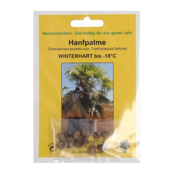 Семена Конопена палма (Chamaerops excelsa)