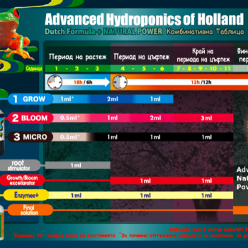 Advanced Hydroponics Dutch Formula 2 Bloom 1L