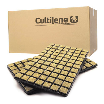 Cultilene 77 бр. kубчета за покълване от каменна вата, Тарелка (18 бр./Кутия)