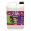DUALPART BLOOM 5L (FLORA DUO)