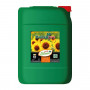 Dutchpro pH- Bloom 20L