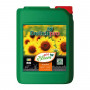 Dutchpro pH- Bloom 5L