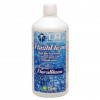 FLASHCLEAN 500ml (KLEEN)