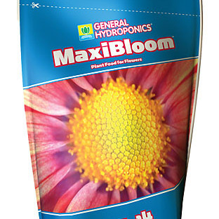 GHE MAXI BLOOM 1kg