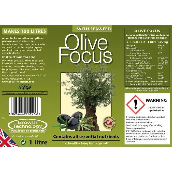 Olive Focus 1L