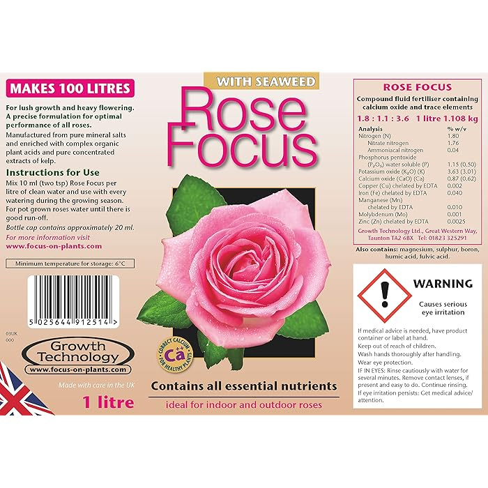 Rose Focus 1L