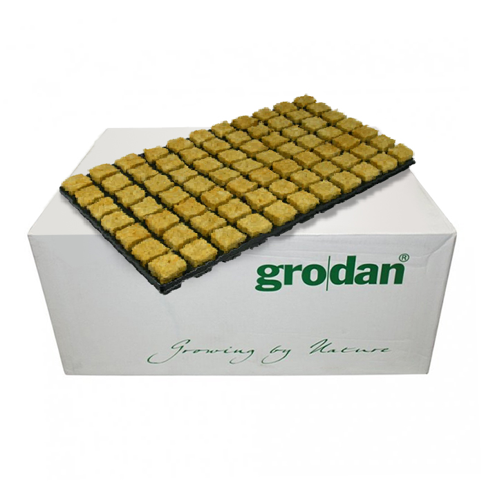 Grodan 77 бр. kубчета за покълване от каменна вата, Тарелка (18 бр./Кутия)