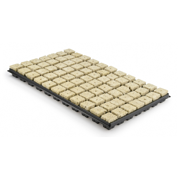 Grodan Tray 77 бр. кубчета за покълване от каменна вата, Тарелка