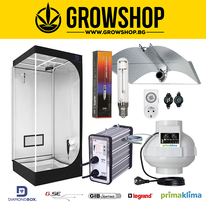 Гроубокс Комплект Адвансед 250W