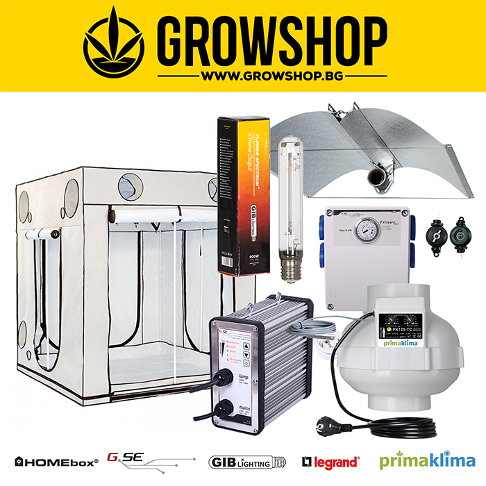 Гроубокс Комплект Адвансед 4x600W