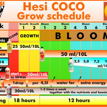 HESI Coco 5L